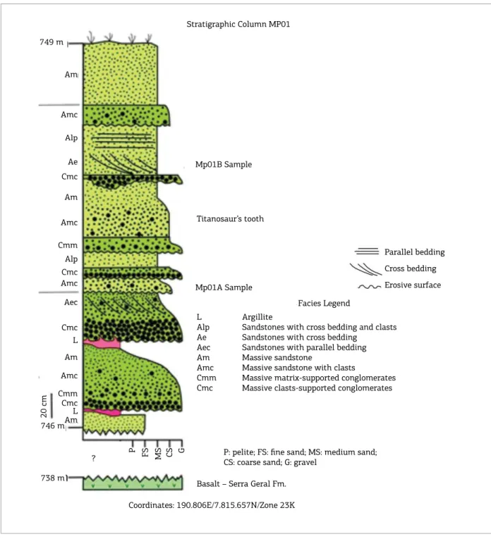 Figure 6. Stratigraphic column MP01.