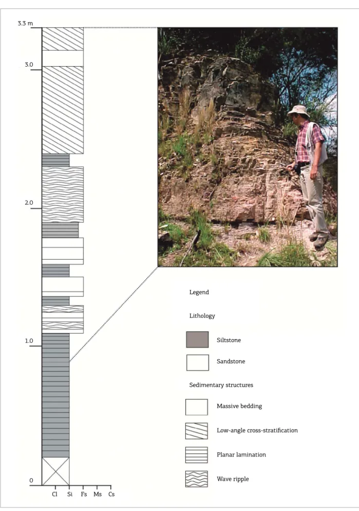 Figure 2. Transitional contact between the upper Teresina and lower Rio do Rasto formations (Serrinha Member),  at the Rio do Rasto Hill section, near the city of Lages, Santa Catarina state, southern Brazil.