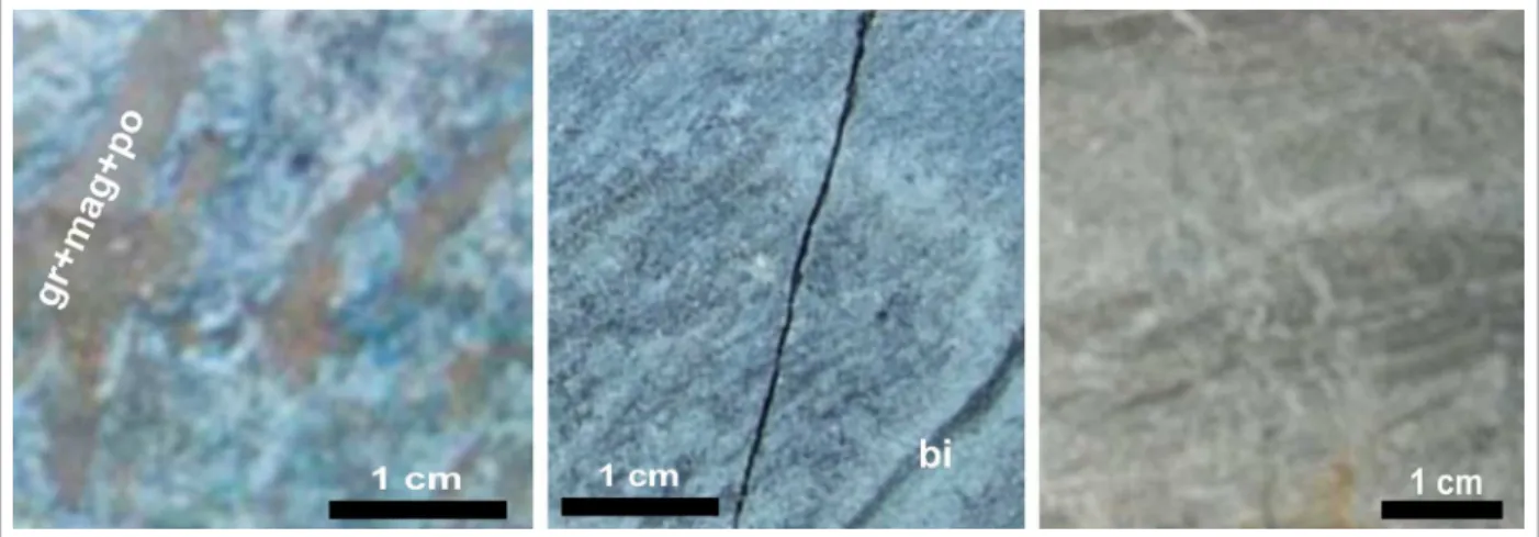 Figure 7. Calcic-Magnesium Domain. Let: Impure and weakly foliated marble, with serpentine, brown grunerite,  magnetite and pyrrhotite