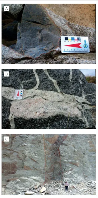 Figure  5.  General  features  of  the  Rosário  Suite  Granitoids: (A) maic enclave enclosed by granodiorite; 