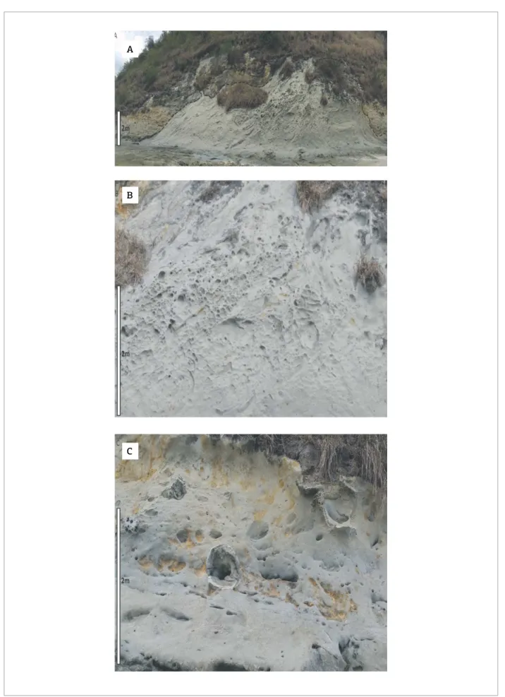 Figure 7. Progressive zoom in part of the outcrop (A, B and C) revealing that craters, pingoes or elliptical vesicles,  observed in the Pitanga Member sandstone, are empty and have diferent sizes and geometries.