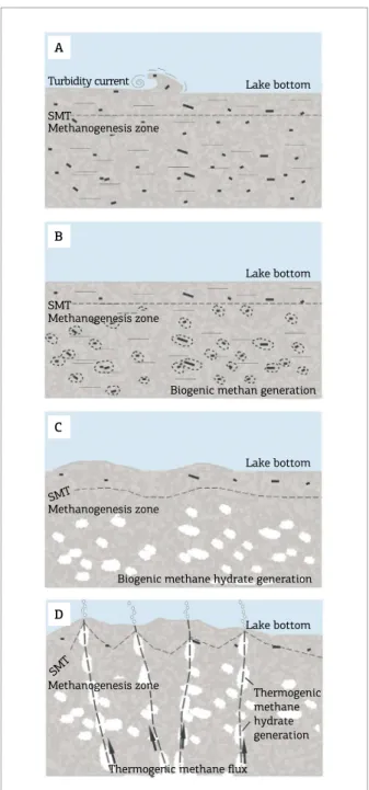 Figure  8.  Schematic  diagram  showing  a  model  for  the  vesicles formation: (A) very ine sand to silt and terrestrial  organic  matter  deposited  by  turbidity  currents  or  slurry  lows