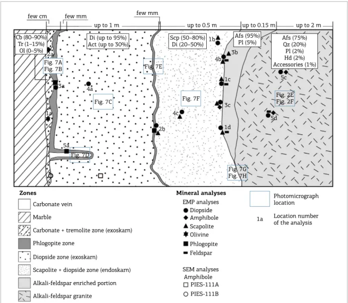 Figure 6. Illustrative schematic cross-section (without scale) of the skarn associated with alkali-feldspar granite showing  the locations of mineral analyses and photomicrographs