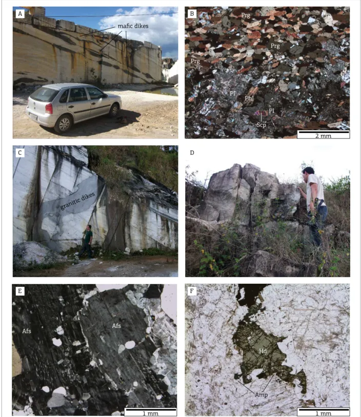 Figure 2. Photographs and photomicrographs of dykes: (A) deformed maic dykes (PIES-6); (B) photomicrograph  of amphibolite (PIES-2F2); (C) granitic dyke (PIES-10); (D) outcrop of alkali-feldspar granite; (E) photomicrograph  of alkali-feldspar granite with