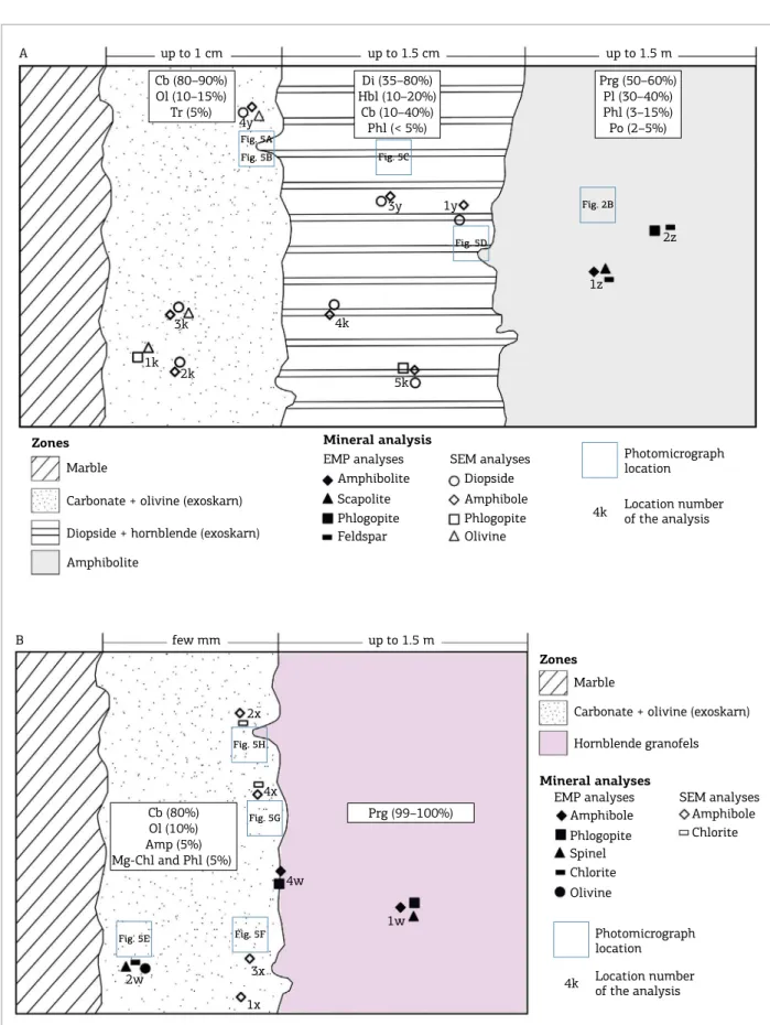 Figure  4.  Illustrative  schematic  cross-sections  (without  scale)  of  the  skarns  associated  with  metamaic  dykes  showing the location of mineral analyses and photomicrographs