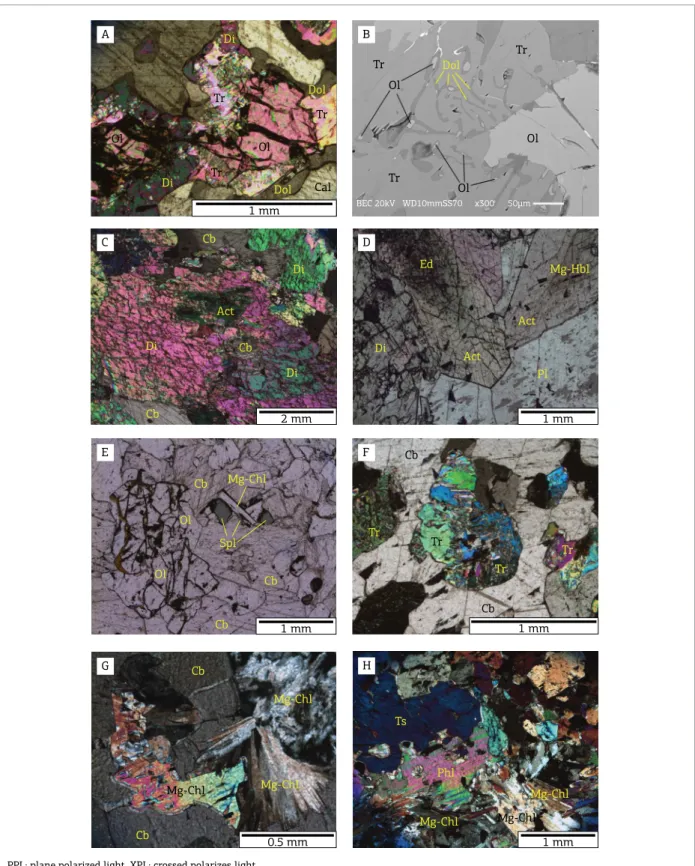 Figure 5. Photomicrographs and scanning electronic microscope (SEM) image of skarns associated with metamaic  dykes