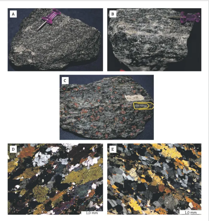 Figure 8. Petrographic aspects of the amphibolites of Porangatu Granulite Complex: (A) hornblende and plagioclase  are oriented along the foliation; (B) Banded leucotonalitic leucosome (Pl-Qtz); (C) Garnet porphyroblasts in  mylonitized amphibolite; (D) Ne