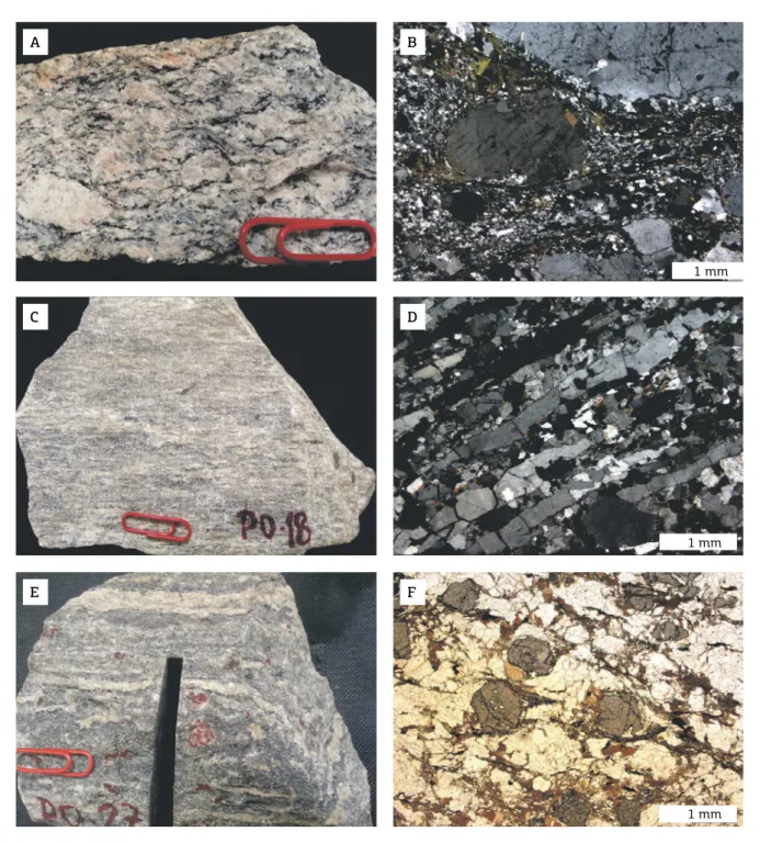 Figure 3. Microstructural features of paragneisses and granitoids of the studied area: (A, B) Augen alkali- alkali-feldspar  porphyroclasts  involved  by  anastomosed  milonitic  foliation  of  in  a  ine  comminuted  aggregate  of  quartz-feldspar matrix 