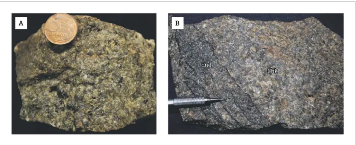 Figure 6. Hand specimens of the charnockite veins and irregular masses (Chk) of Porangatu Granulite Complex,  showing their greenish colour and coarse-grained aspect with blue quartz (A) and ine-grained enclaves of the  garnet enderbite (B)
