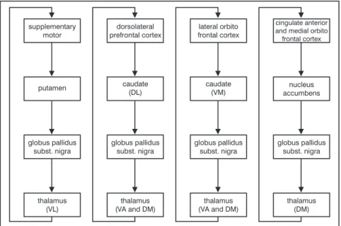 Figure 1 - Frontal-striatal connections.