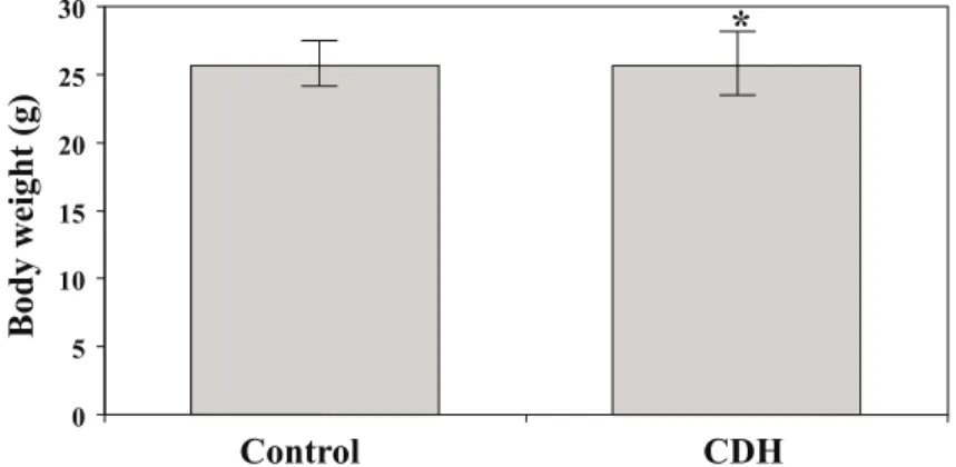 Figure 5 - Heart weights of the fetuses (mean ± standard error of the mean). Note that CDH promoted a significant decrease of heart weights (* P  < .05).