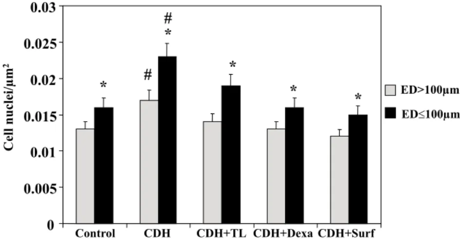 Figure 5 - Density of cell nuclei (CD) in the pulmonary arterial wall. (*)  P  < .05 – The comparisons between arteries with external diameter (ED) > 100 mm and ED £ 100 mm demonstrate that the muscular arteries (ED > 100 mm) have fewer cell nucle