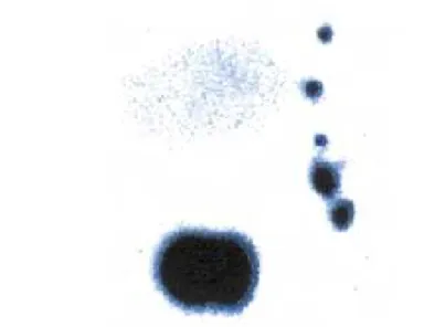 Figure 3 - Asymmetric progression.