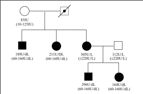 Figure 1 - Family Pedigree.