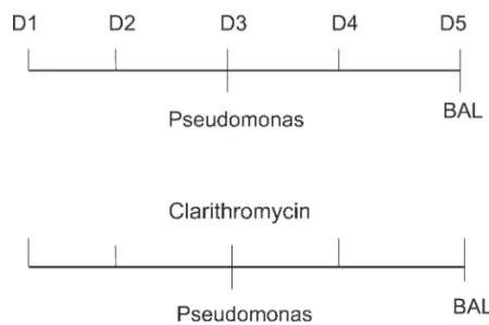 Figure 1 - Study protocol.
