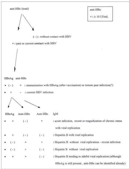 Figure 3 shows a current algorithm for serological diagnosis of HBV used in Immunological Section of Central Clinical Laboratory Division of Clinic Hospital of University of São Paulo Medical School (HC-FMUSP)