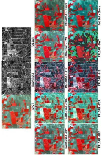 Figure 4 - Comparison of the spectral and spatial effects of the fused SAR-SPOT  results for agricultural fields