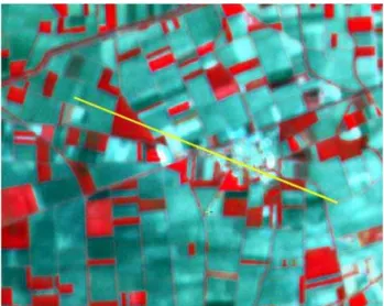 Figure 7 - Transect on SPOT XS. 