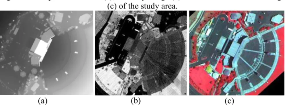 Figure 3- The produced DSM (a), intensity image (b) and color infrared orthoimage  (c) of the study area