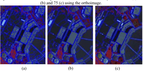 Figure 5 - Multi-resolution segmentation results with the scale parameters 25 (a), 50  (b) and 75 (c) using the orthoimage