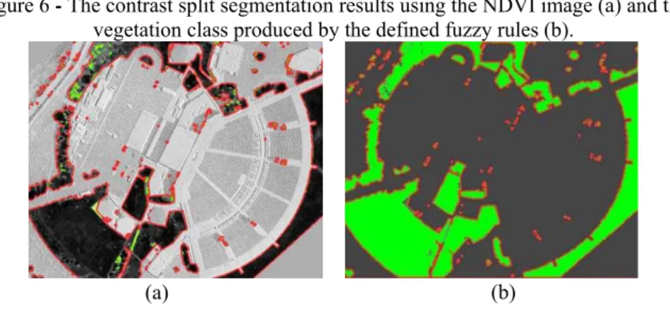 Figure 6 - The contrast split segmentation results using the NDVI image (a) and the  vegetation class produced by the defined fuzzy rules (b)