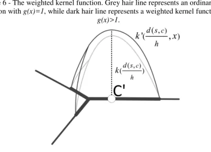 Figure 6 - The weighted kernel function. Grey hair line represents an ordinary kernel  function with g(x)=1, while dark hair line represents a weighted kernel function with 