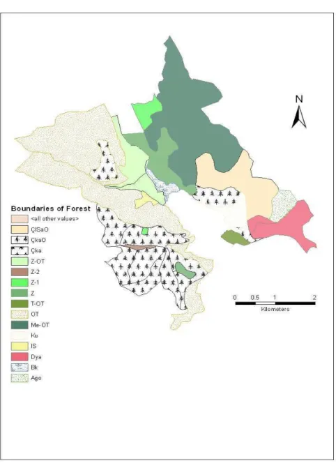 Figure 4- Forest map 