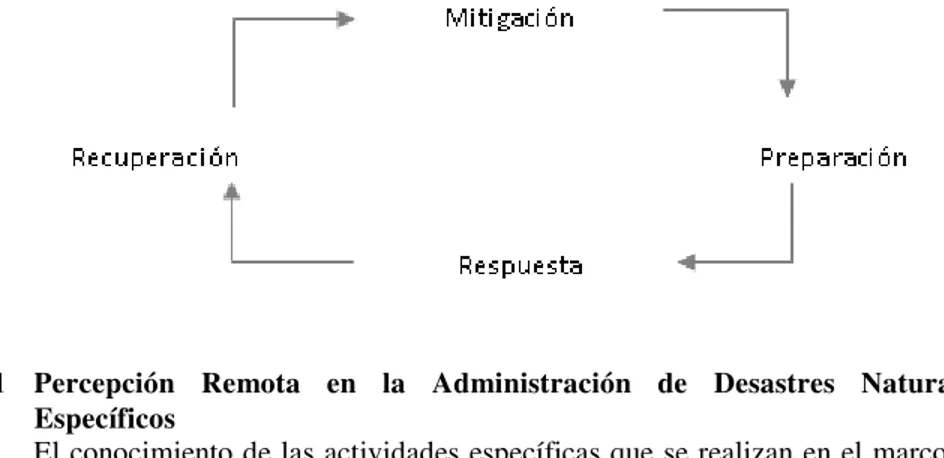 Figura 1 - Ciclo de las cuatro fases de la administración de desastres naturales. 