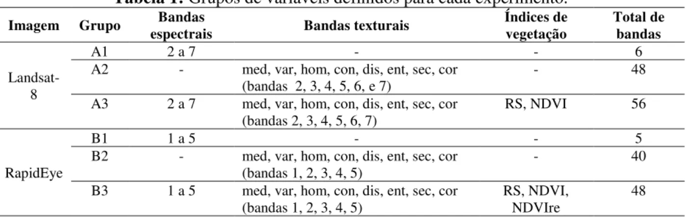 Tabela 1: Grupos de variáveis definidos para cada experimento. 