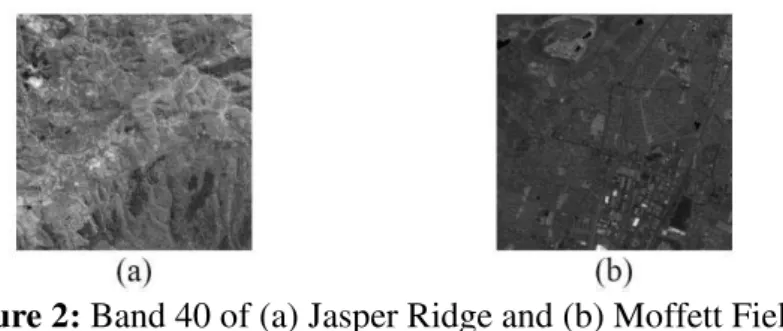Figure 2: Band 40 of (a) Jasper Ridge and (b) Moffett Field 