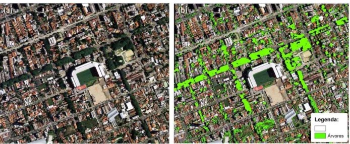Figura 7: Resultado da classificação de árvores em ambiente urbano, utilizando Redes Neurais  Artificiais,  com  imagens  espectrais  de  alta  resolução  e  dados  Laser  Scanner  e  amostra  de  treinamento  de  apenas  1,52%  do  total  da  imagem