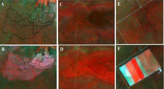 Figure 9 illustrates three examples in the detection of change by applying the second approach to  bands 3 and 4 and 0.975 confidence level for the Savannah study area