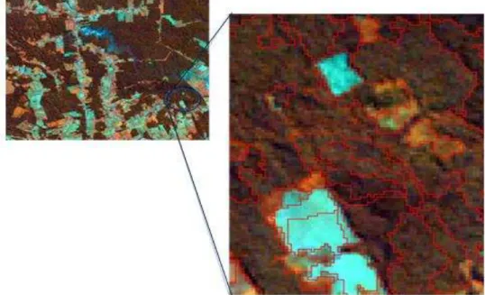 Figure 4 :  Example deforestation objects (light blue) obtained by multidate segmentation in the  Amazon area of study