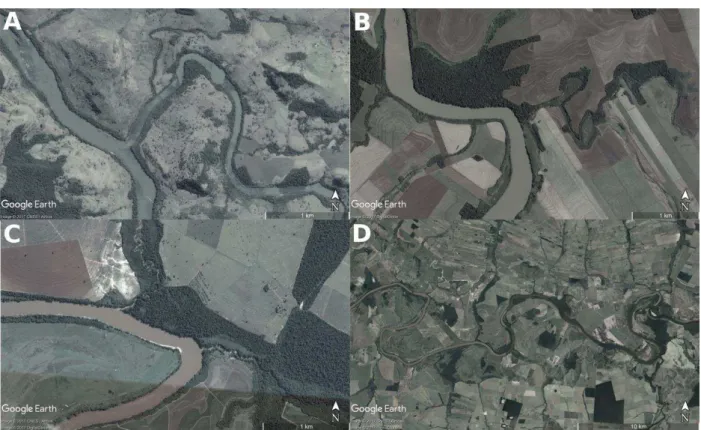 Figure 9: River confluences in Ivaí River watershed in the upper sector (A) the middle sector  (B) the lower sector (C) and the floodplain area (D)