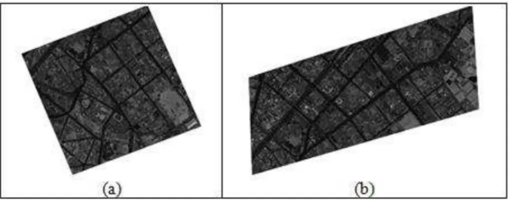 Figura 3: Imagem de intensidade a) Área 1 e b) Área 2. 