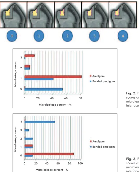 Fig. 1. Dye penetration   scores as an indicator of  marginal microleakage   for repair/tooth and   repair/restoration interfaces.