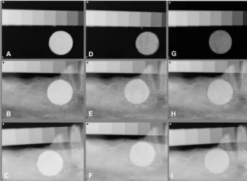 Fig.  1.  Representative  radiographs  of  the  endodontic  sealers  according to the experimental situation
