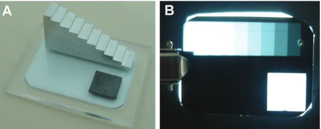 Fig. 1. (A) Density scale and lead plate positioned on the radiographic film for exposure