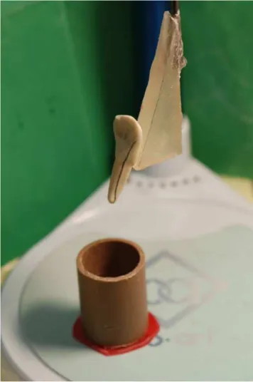 Fig. 1. Setting of a bovine tooth with the help of matrix lined  with standardized angles.