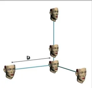 FIGURA  1  -  A  identificação  de  uma  face  é  um  processo  de  comparação  da distância relativa “D” da face padrão (no centro dos eixos cartesianos)  daquela sob análise