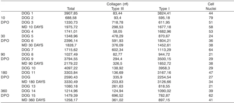 Table 1. Total, type III and type I collagen and number of cell nuclei. Calculation of the mean of each postoperative period.