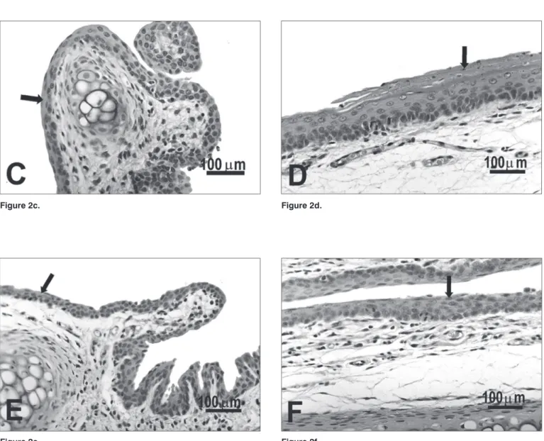 Figure 2c. Figure 2d.