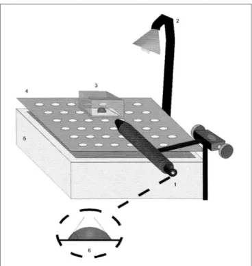 Figure  1.  Schematic  drawing  of  the  magnetic  microrheometer.  1)  Light source, 2) Thoroid, 3) Specimen holder, 4) Microscope lens, 5)  Set of mirrors, 6) Pair of photocells, 9) Amplifier, 13) Oscilloscope, 14)  Microcomputer, 15) Moving steel micros