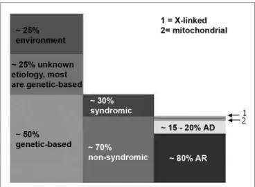 Figure 1. Pre-speech SNHL: epidemiological data from developed  countries - this breaking down of hearing loss based on cause  (colu-mn 1), presence or absence of associated traces in cases of genetic  etiology (column 2) and the inheritance mode in the no