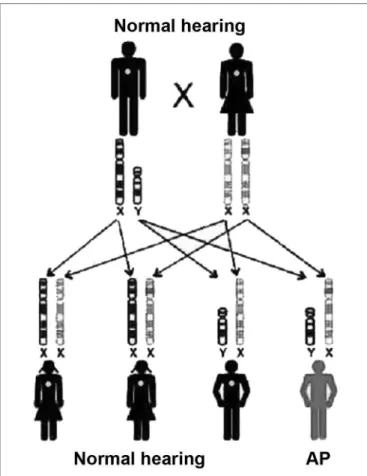 Figure 3. Inheritance mode - this key represents an X-linked recessive  mutation; the daughters that inherit the altered copy from the mother  will not be affected, because they receive one normal copy from the  father, and the sons have a 50% chance of in