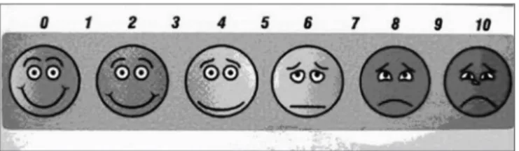 Figure 1. Analogue-Visual Scale model (AVS).