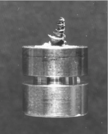 Figure 1. Specimen support showing a cochlea prepared for study in  the scanning electron microscope.