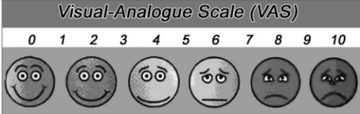 Figure 1. Model of the visual-analogue scale (VAS) used.