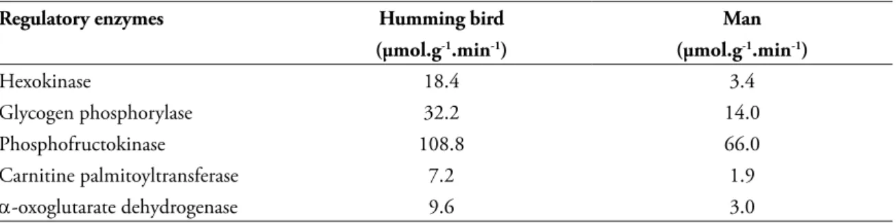 TABLE 6 - Comparison of performance between endurance athletes, man and humming bird 3, 21 .