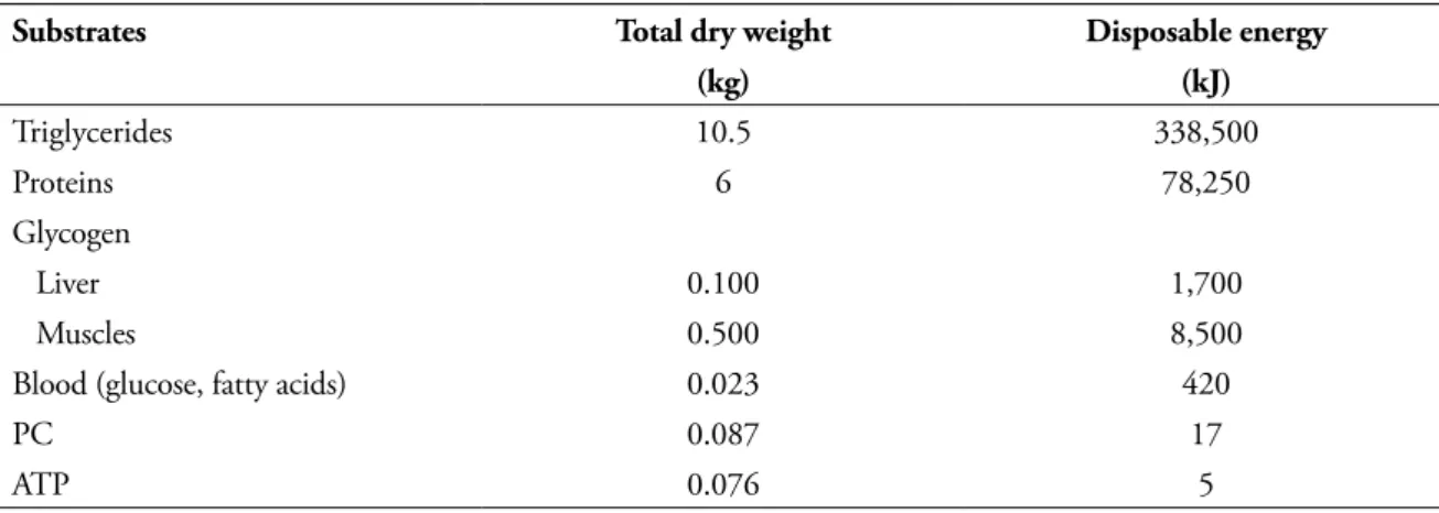 TABLE 3 - Estimation of power released from the different energy stores within a human muscle 6 .